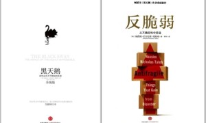 深度解读丨用“反脆弱”对抗“黑天鹅”，一文看懂疫情突围指南