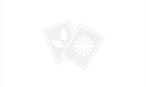 钻石黑的OLED面板 华为mate10 保时捷版售8999元