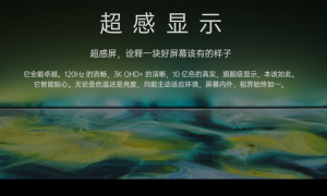 如何买到最好的 OLED 屏幕手机？认准 “三星屏”
