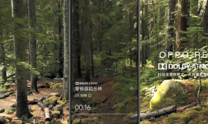 考前考后「压力山大」？让 OPPO Relax 做你的解压神器