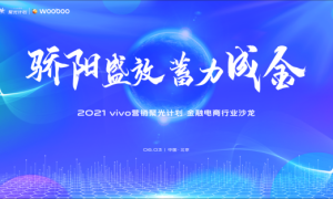 vivo营销第四场沙龙落地，聚焦金融电商行业营销讨论